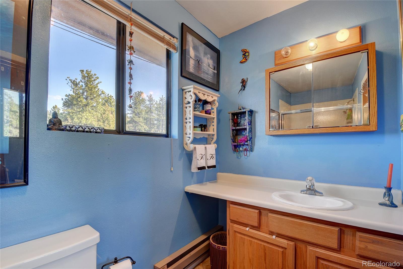 15355 Swiss Road Pine, CO 80470 - Photo 16 of 40 Gallery Image 16