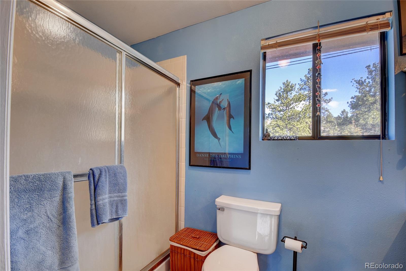 15355 Swiss Road Pine, CO 80470 - Photo 17 of 40 Gallery Image 17