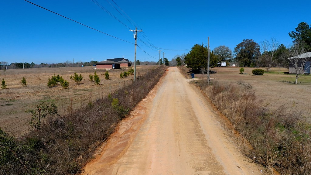 1132 Grant Road Slocomb, AL 36375 - Photo 3 of 14
