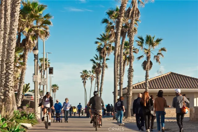 a view of a park with a tree
