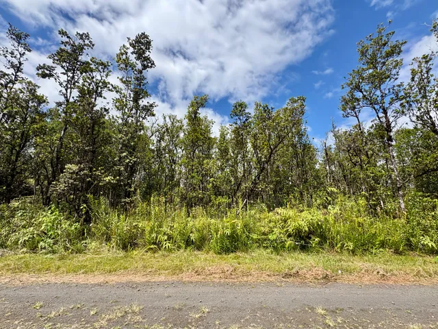 $27,000 | 28 Alapua Street, Pahoa, HI 96778