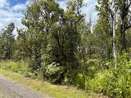 $27,000 | 28 Alapua Street, Pahoa, HI 96778