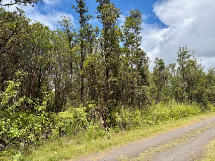 $27,000 | 28 Alapua Street, Pahoa, HI 96778