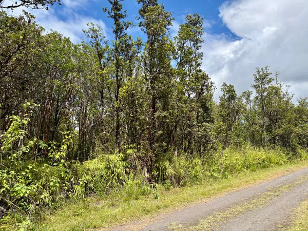 $27,000 | 28 Alapua Street, Pahoa, HI 96778