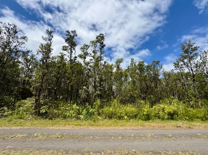 $27,000 | 28 Alapua Street, Pahoa, HI 96778