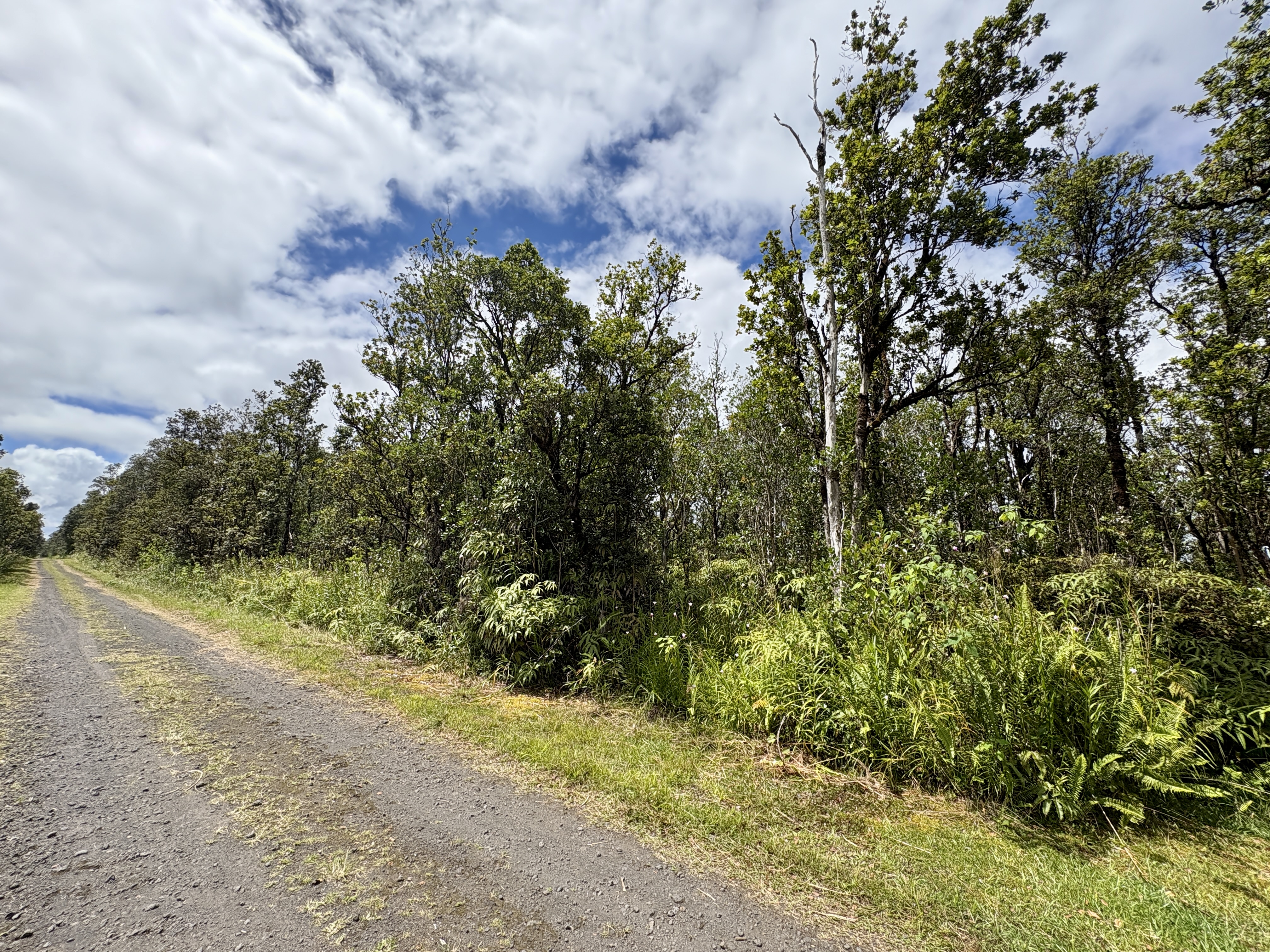 28 Alapua Street Pahoa, HI 96778 - Photo 6 of 7