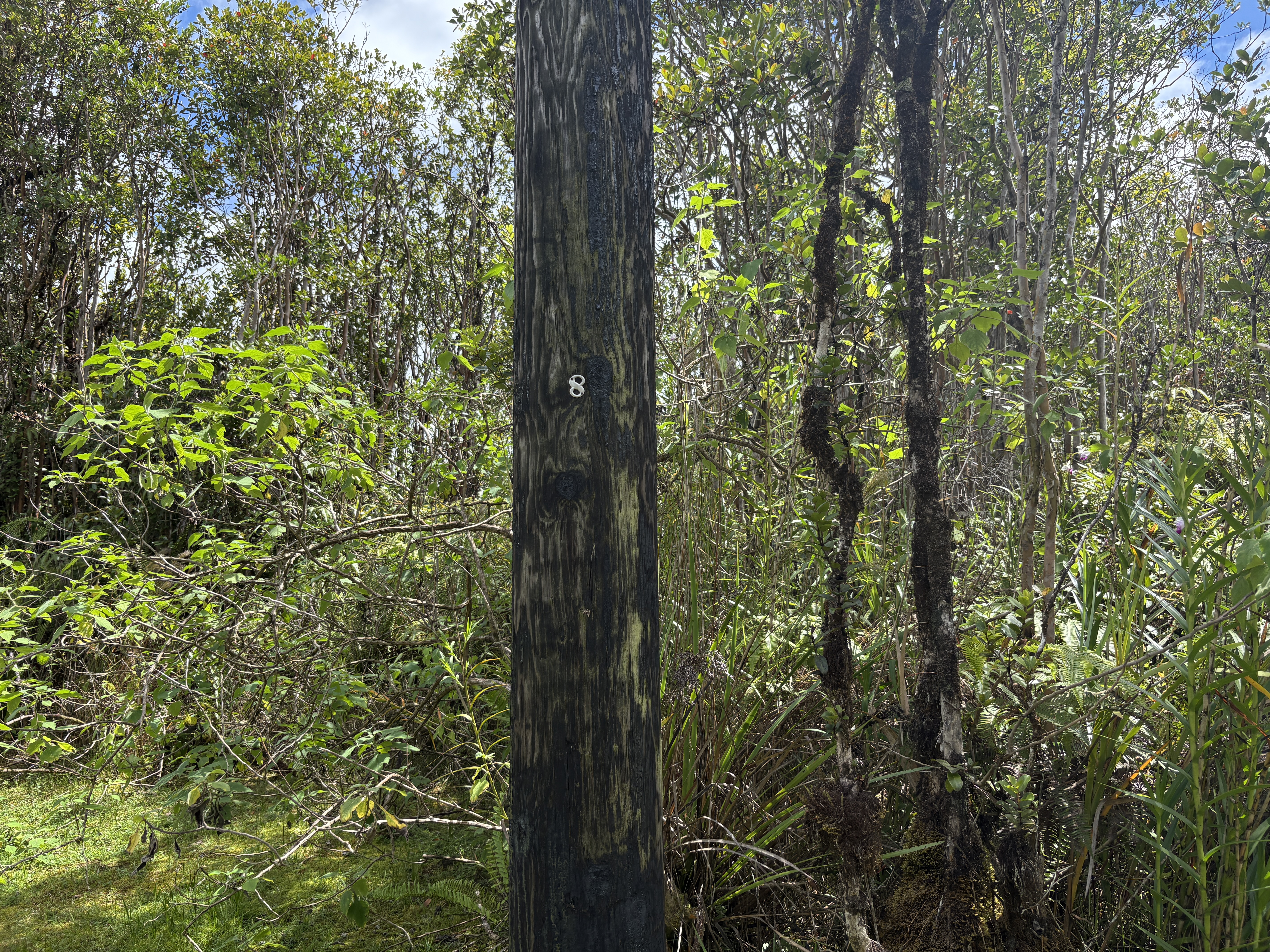 28 Alapua Street Pahoa, HI 96778 - Photo 7 of 7