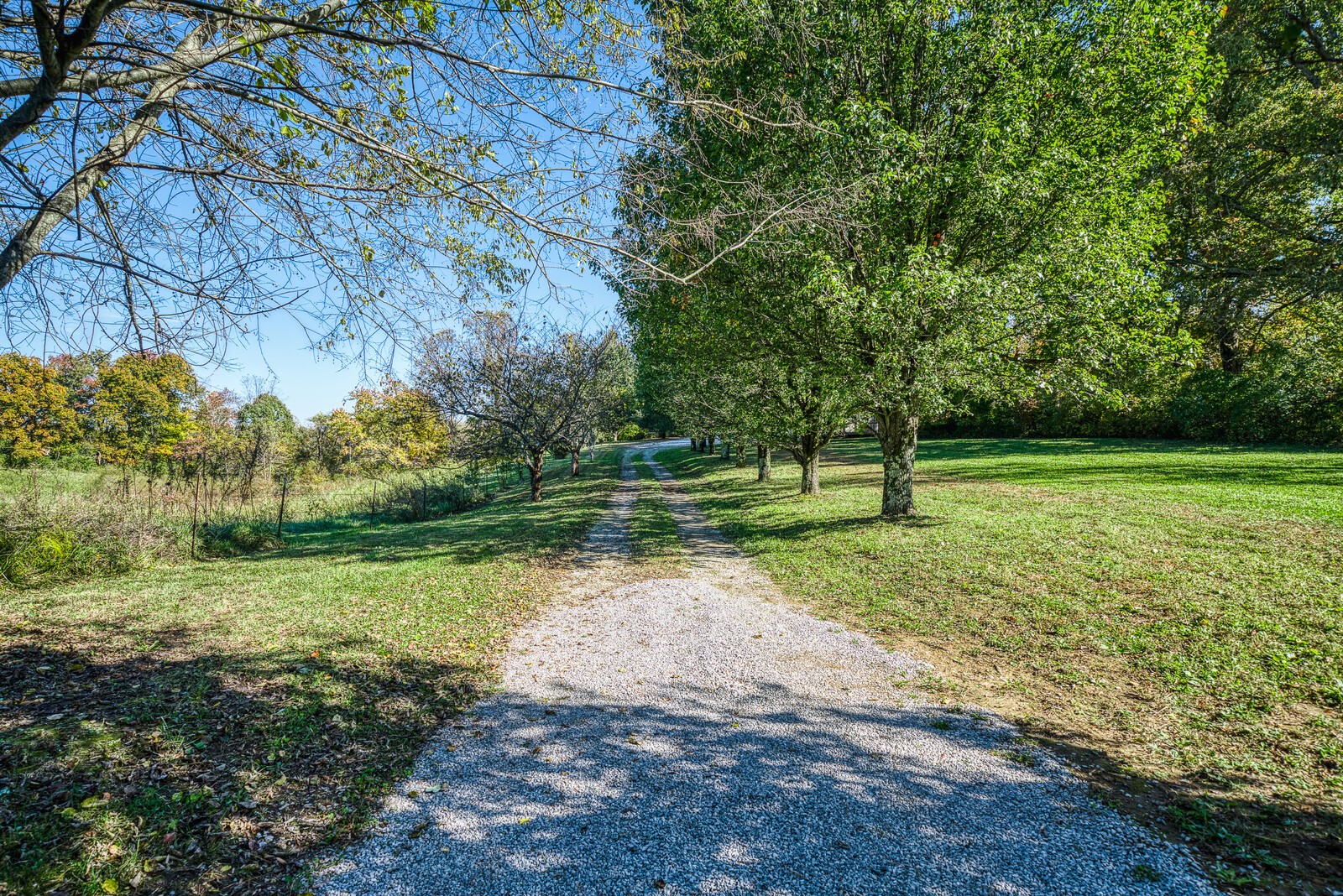 423 Arthur Seagraves Road Sparta, TN 38583 - Photo 3 of 50 Gallery Image 3