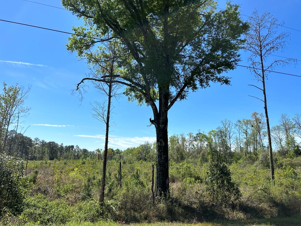 18-ac 18-ac State Line Rd/sealy Springs Road Cottonwood, AL 36320 - Photo 1 of 31 Main View