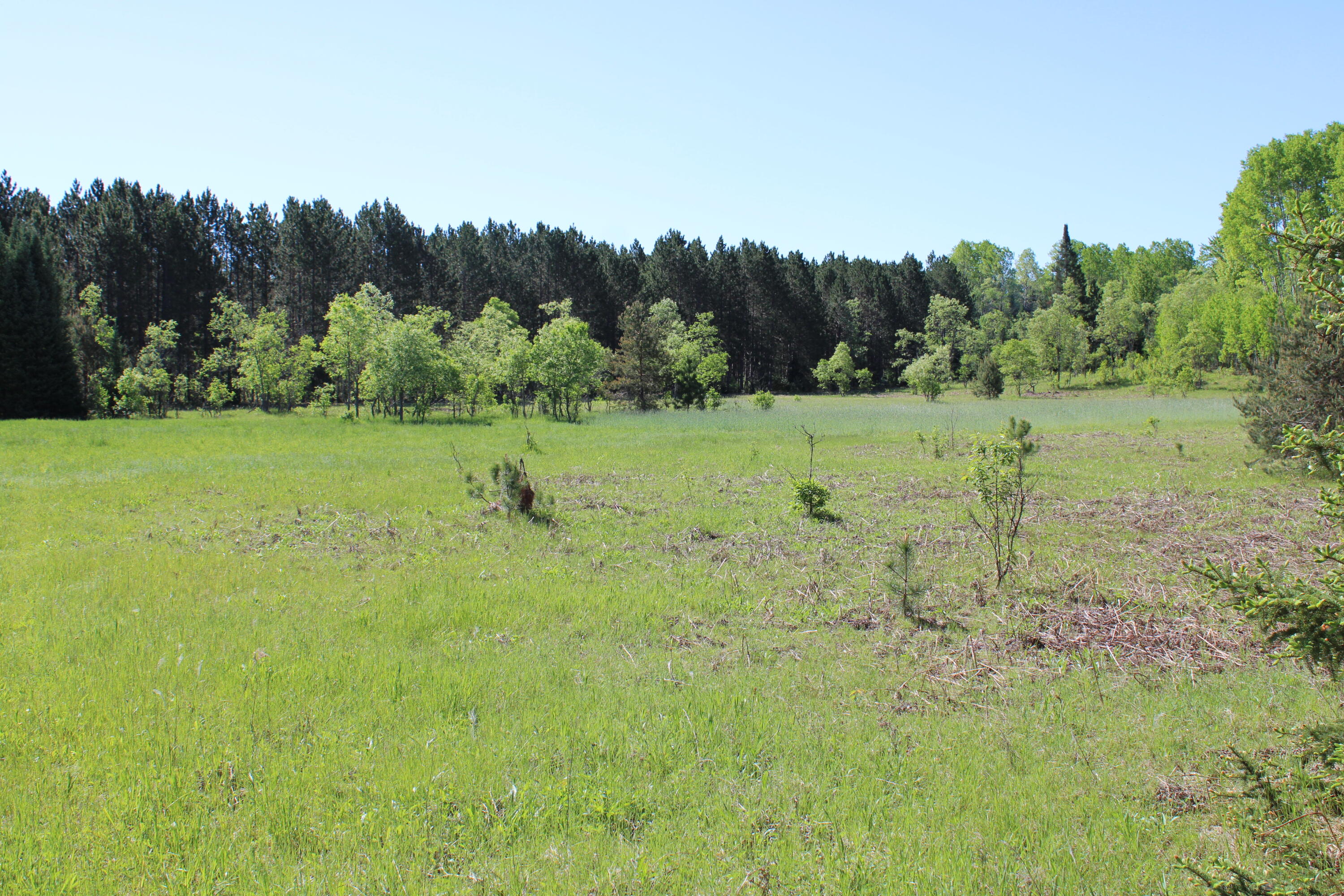2288 East Alexander Road Vanderbilt, MI 49795 - Photo 14 of 29 IMG_1471