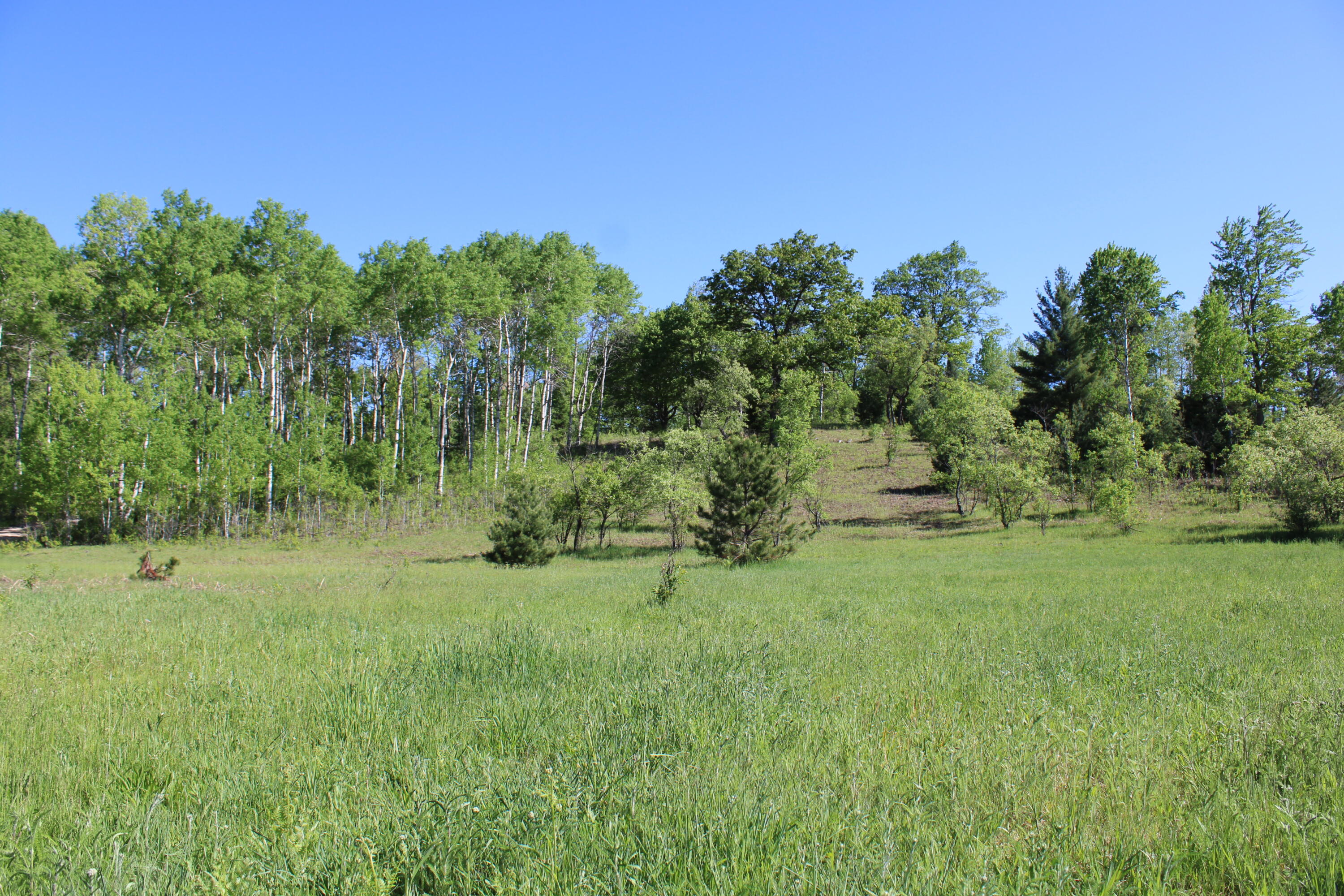 2288 East Alexander Road Vanderbilt, MI 49795 - Photo 16 of 29 IMG_1474