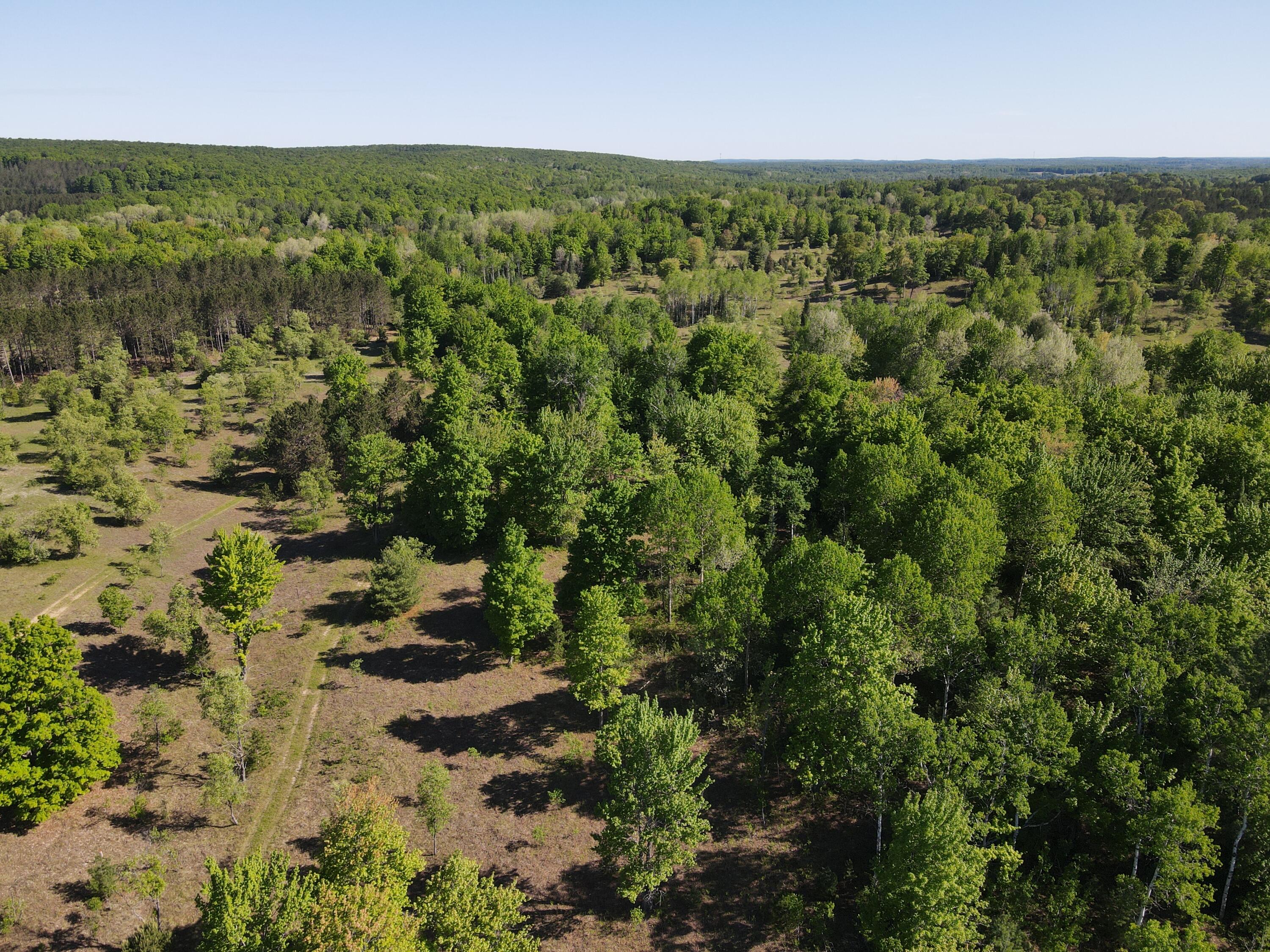 2288 East Alexander Road Vanderbilt, MI 49795 - Photo 26 of 29 DJI_0595