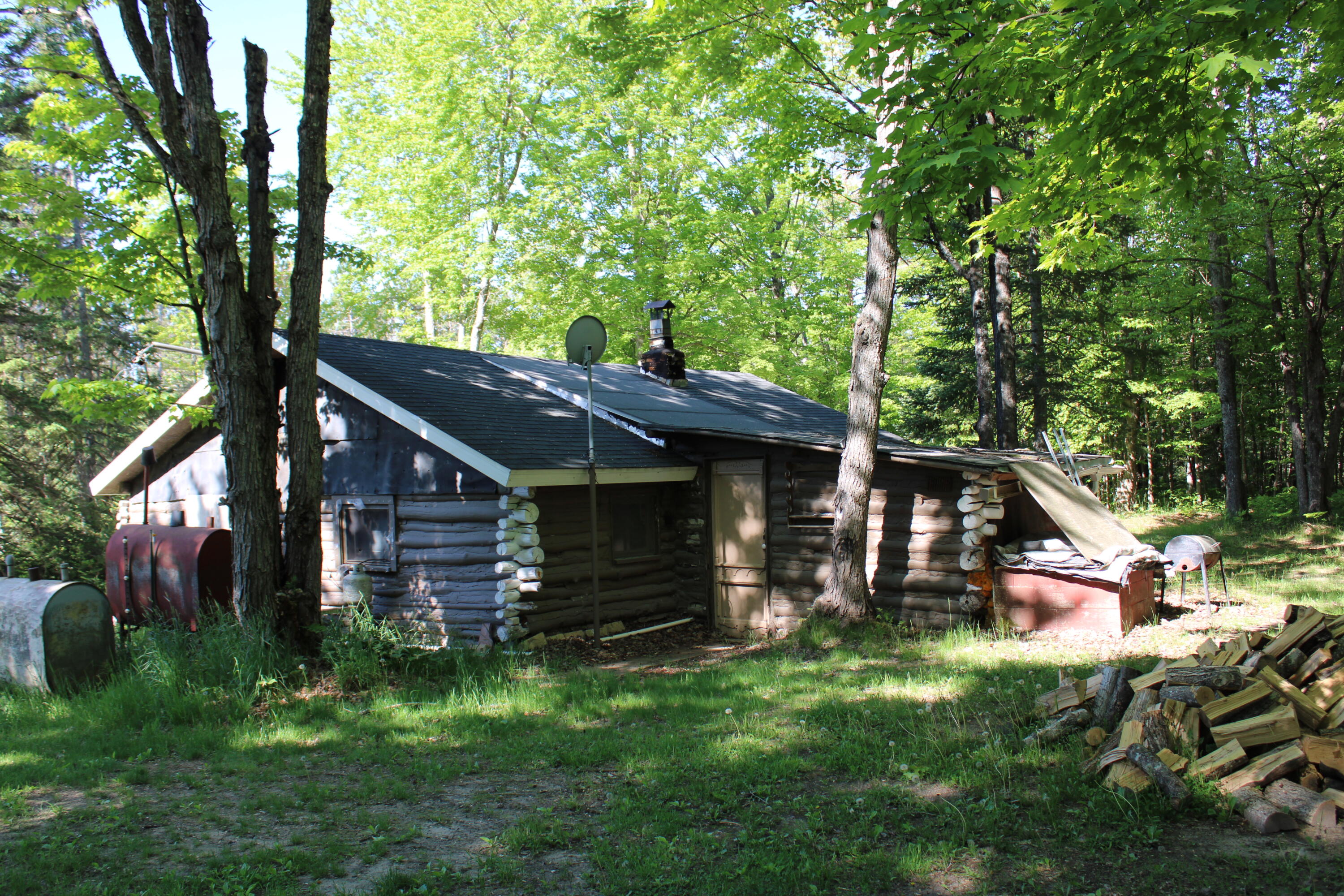 2288 East Alexander Road Vanderbilt, MI 49795 - Photo 4 of 29 IMG_1454