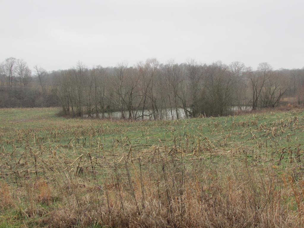 Ac Nobob Road Glasgow, KY 42141 - Photo 1 of 5 Gallery Image 1