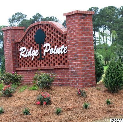 290 Ridge Point Drive Conway, SC 29526 - Photo 2 of 18 Gallery Image 2