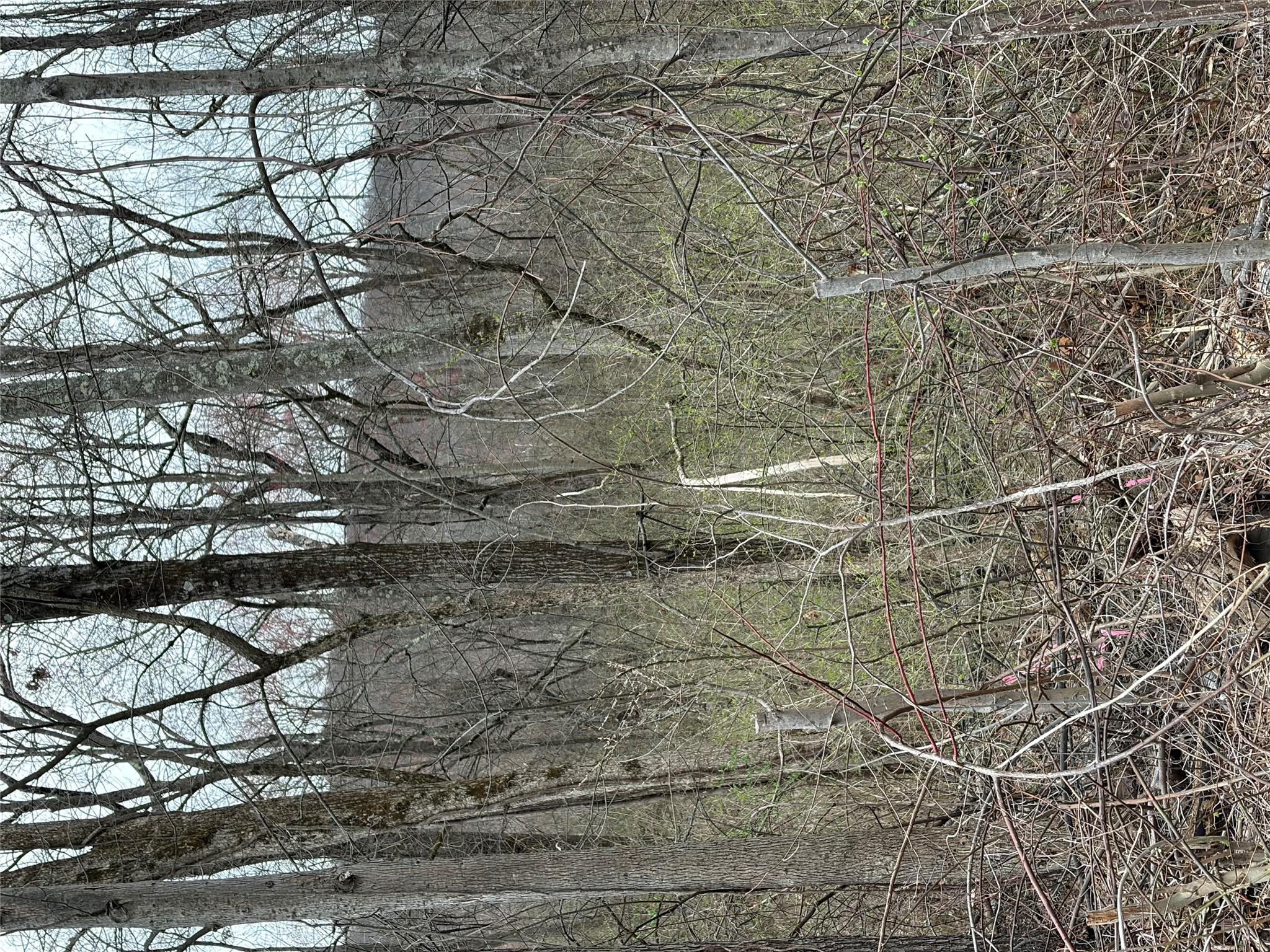 Wells Road Newburgh, NY 12550 - Photo 3 of 37