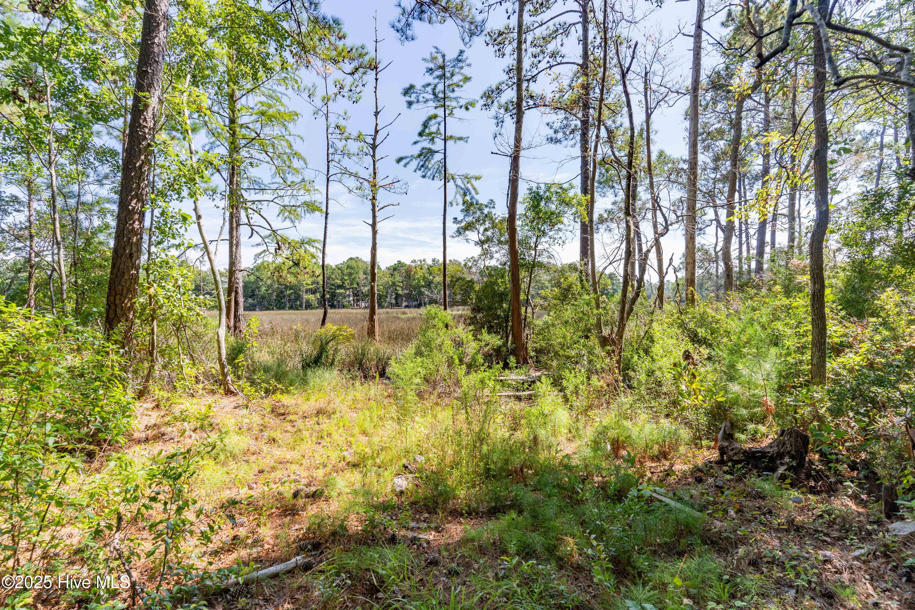205 Quail Ridge Road Wilmington, NC 28409 - Photo 14 of 29 32_205 quail ridge rd-00033