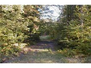 5 Mespelli Road Campton, NH 03223 - Photo 3 of 8