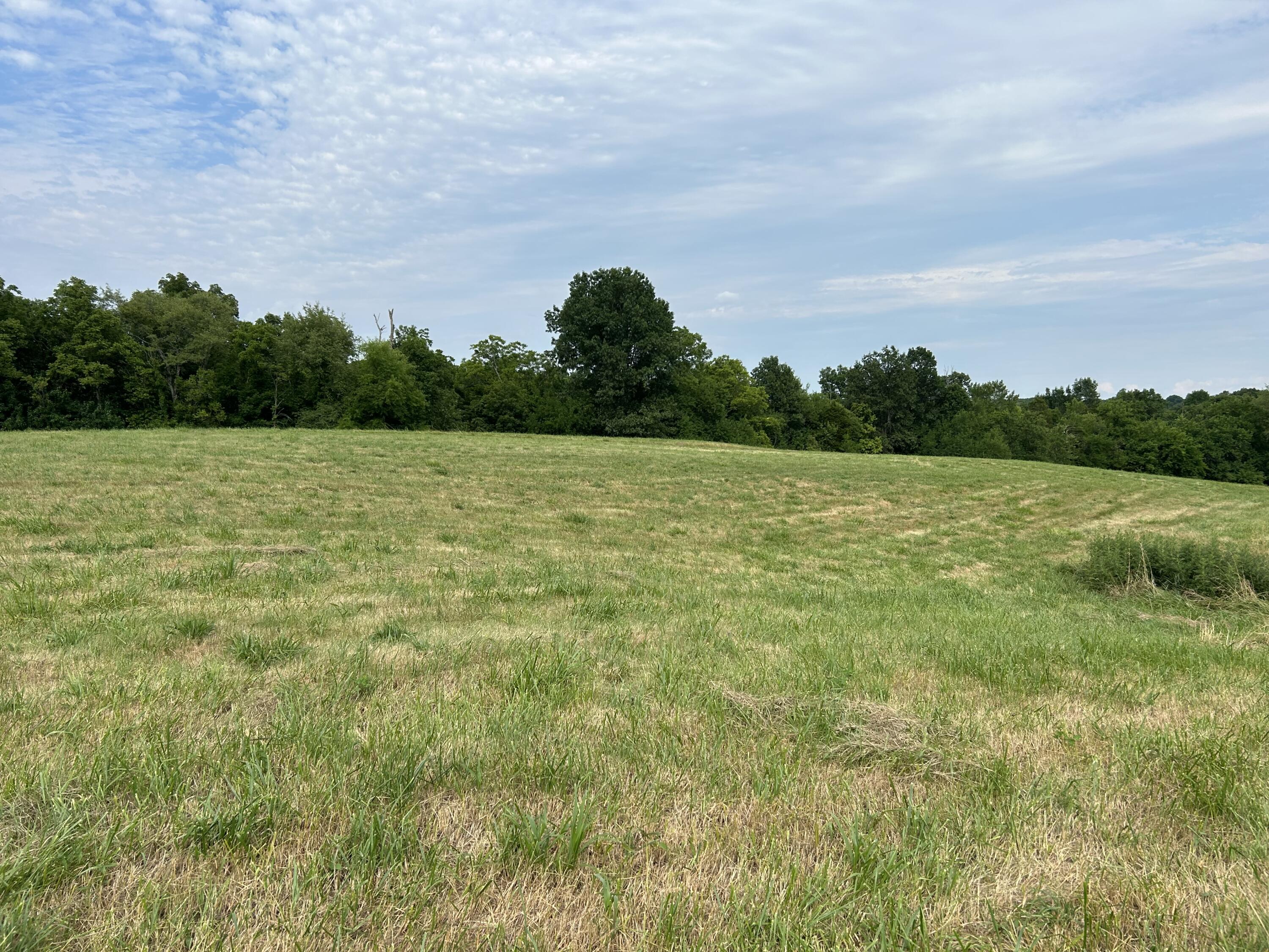 2270 New Liberty-Sparta Road Sparta, KY 41086 - Photo 9 of 23 Gallery Image 9