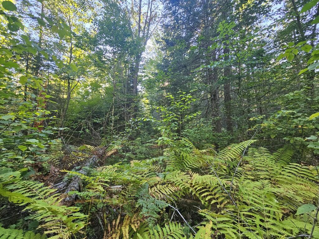 M11-l1 Wilder Davis Road Hudson, ME 04449 - Photo 40 of 53 20260907_170240