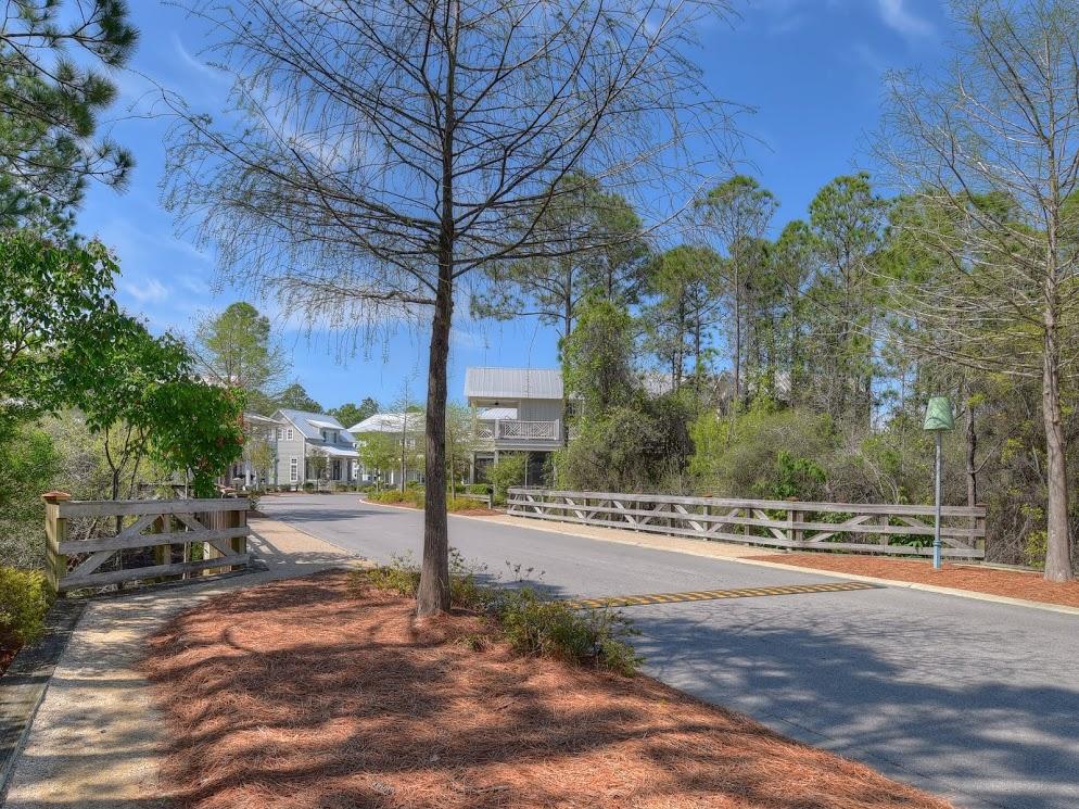 275 East Royal Fern Way Santa Rosa Beach, FL 32459 - Photo 53 of 73 Gallery Image 53