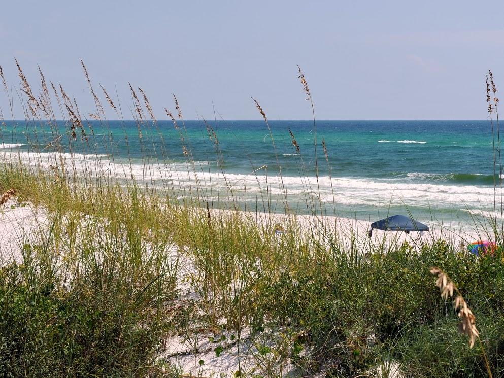 275 East Royal Fern Way Santa Rosa Beach, FL 32459 - Photo 69 of 73 Gallery Image 69