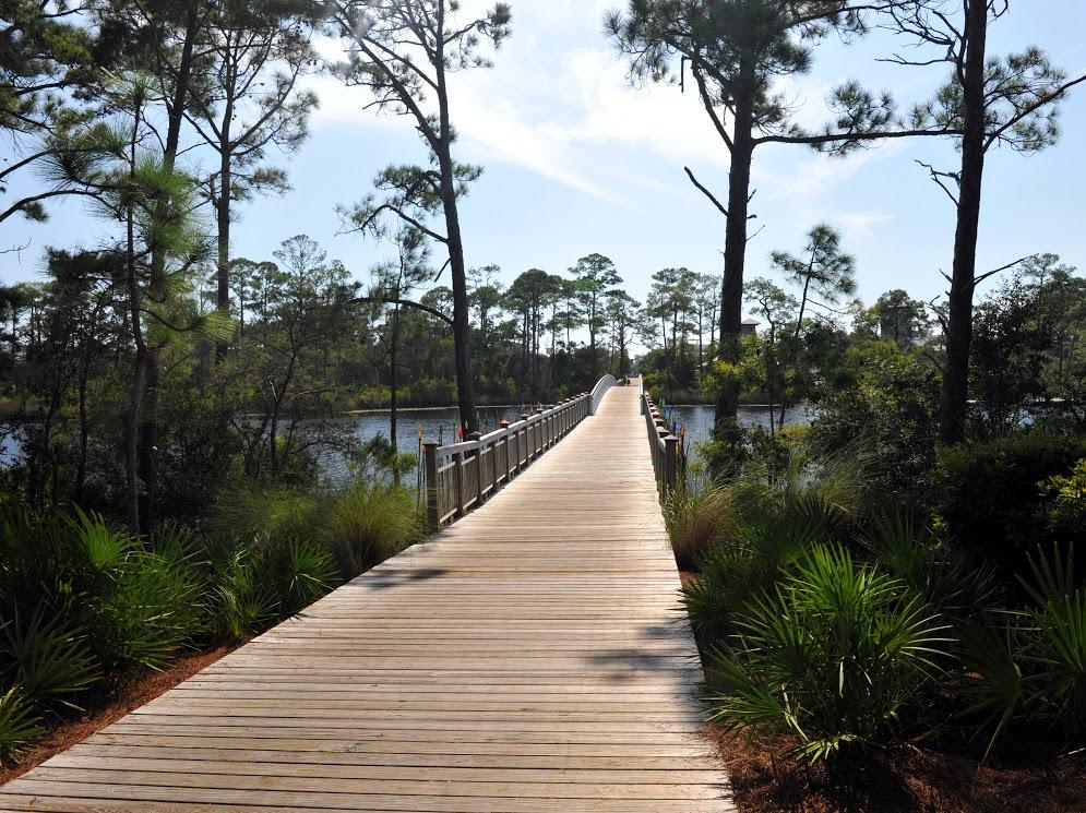 275 East Royal Fern Way Santa Rosa Beach, FL 32459 - Photo 71 of 73 Gallery Image 71