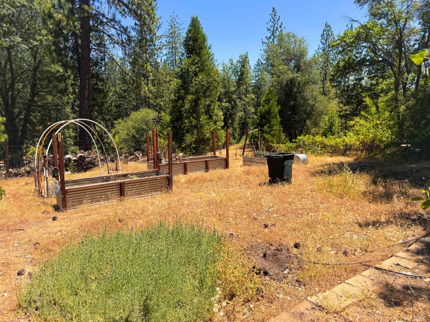 6425 Quartz Mine Road Mountain Ranch, CA 95246 - Photo 52 of 70
