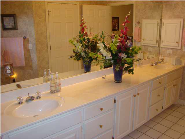 111 Springtree Drive Brandon, MS 39042 - Photo 13 of 19 Master Bath w/Double Vanities