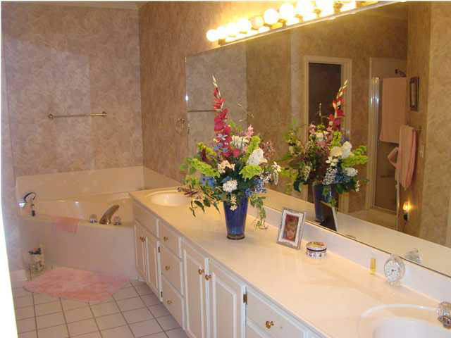 111 Springtree Drive Brandon, MS 39042 - Photo 14 of 19 Gorgeous Master Bath