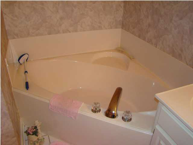 111 Springtree Drive Brandon, MS 39042 - Photo 16 of 19 Master Bath w/Corner Garden Tub