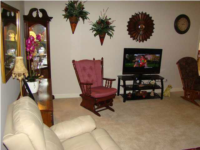 111 Springtree Drive Brandon, MS 39042 - Photo 4 of 19 Living Room