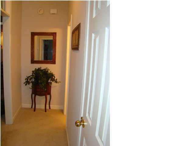 111 Springtree Drive Brandon, MS 39042 - Photo 10 of 19 Hallway