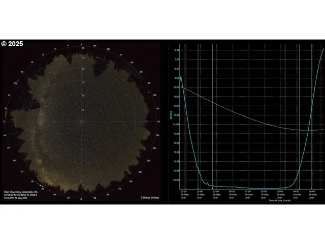 a view of a house with backyard and trees