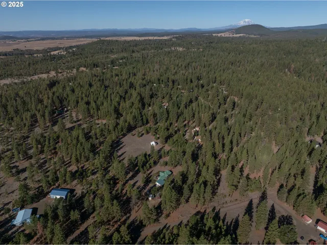 a backyard of a house with a garden and plants