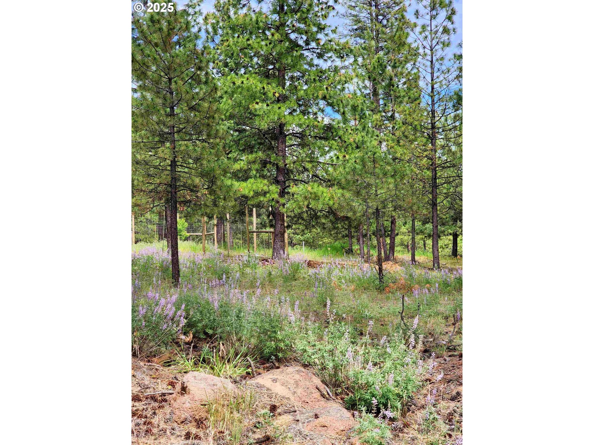 355 Tamarack Goldendale, WA 98620 - Photo 37 of 38