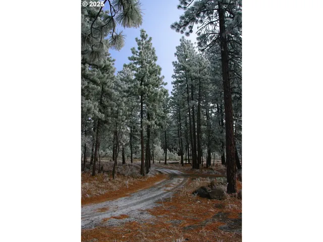 $485,000 | 355 Tamarack, Goldendale, WA 98620