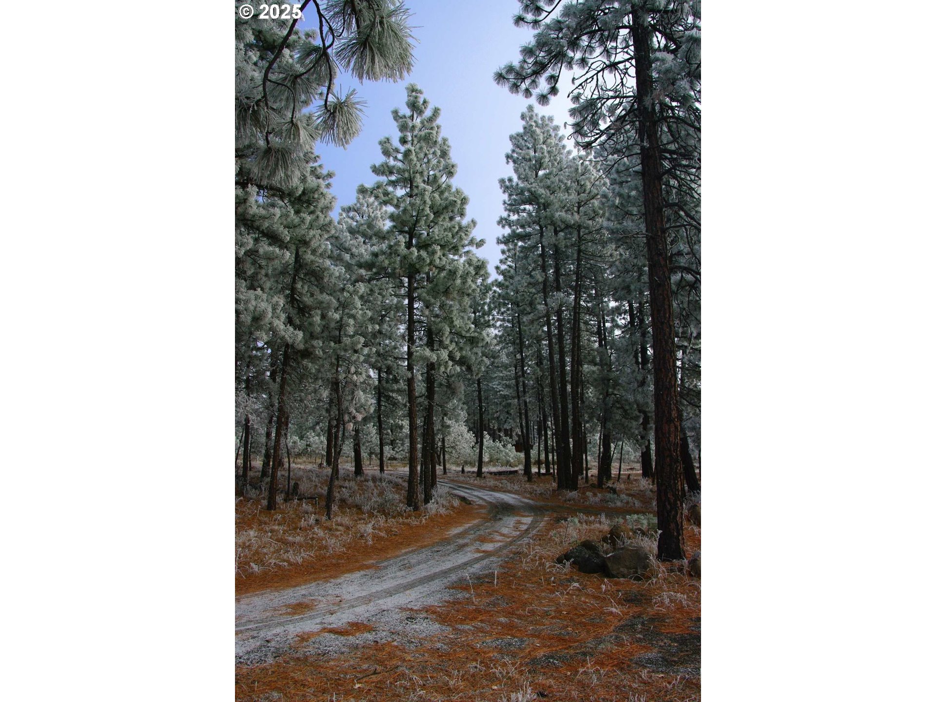 355 Tamarack Goldendale, WA 98620 - Photo 38 of 38