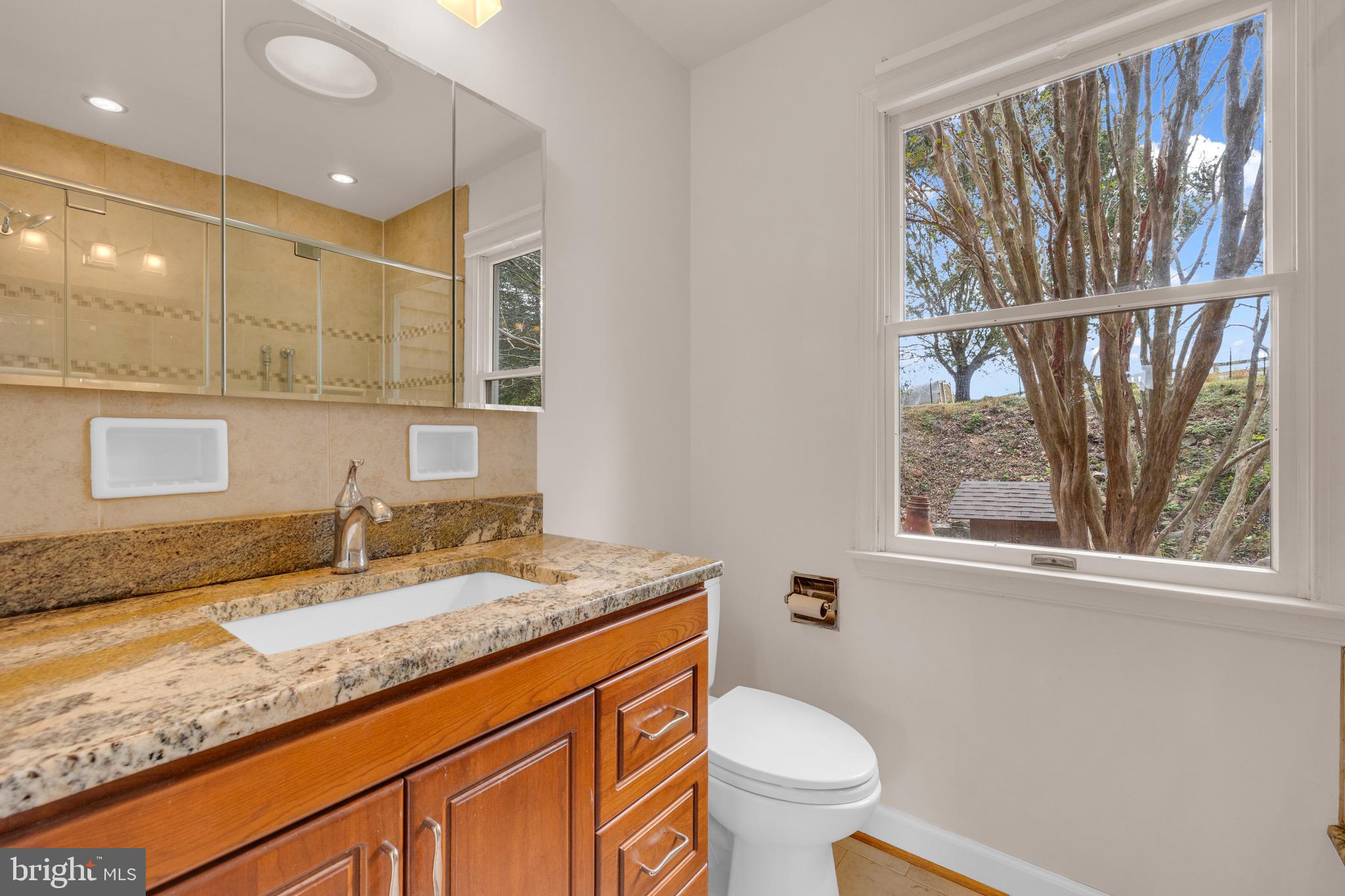 8729 Green Road Warrenton, VA 20187 - Photo 26 of 42 a bathroom with a granite countertop sink toilet and a mirror