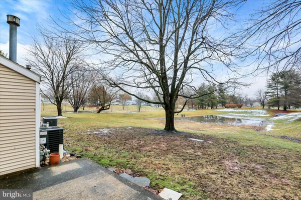 a view of yard with tree in the house