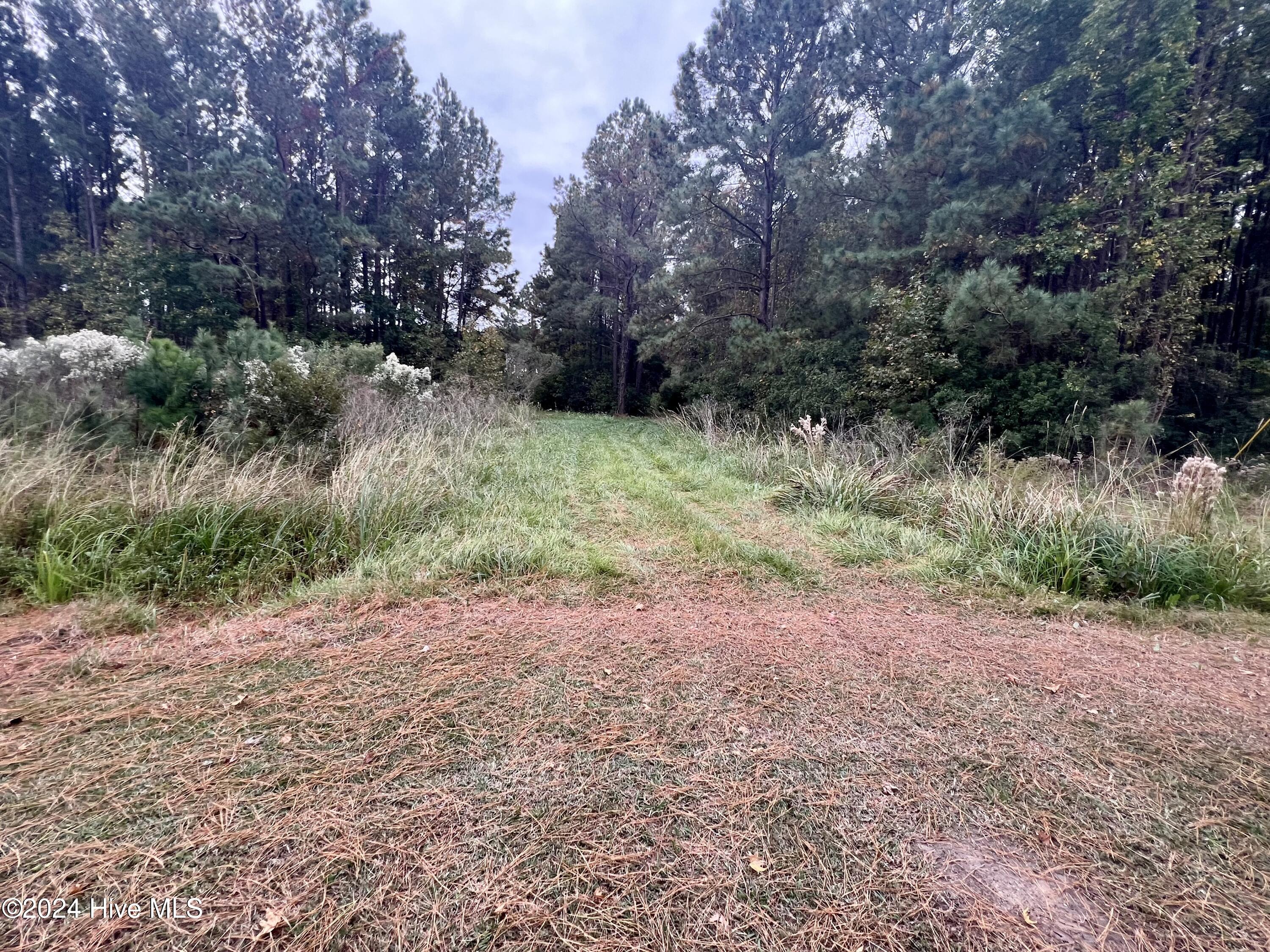 2900 Hickory Point Road Aurora, NC 27806 - Photo 13 of 23 Entrance