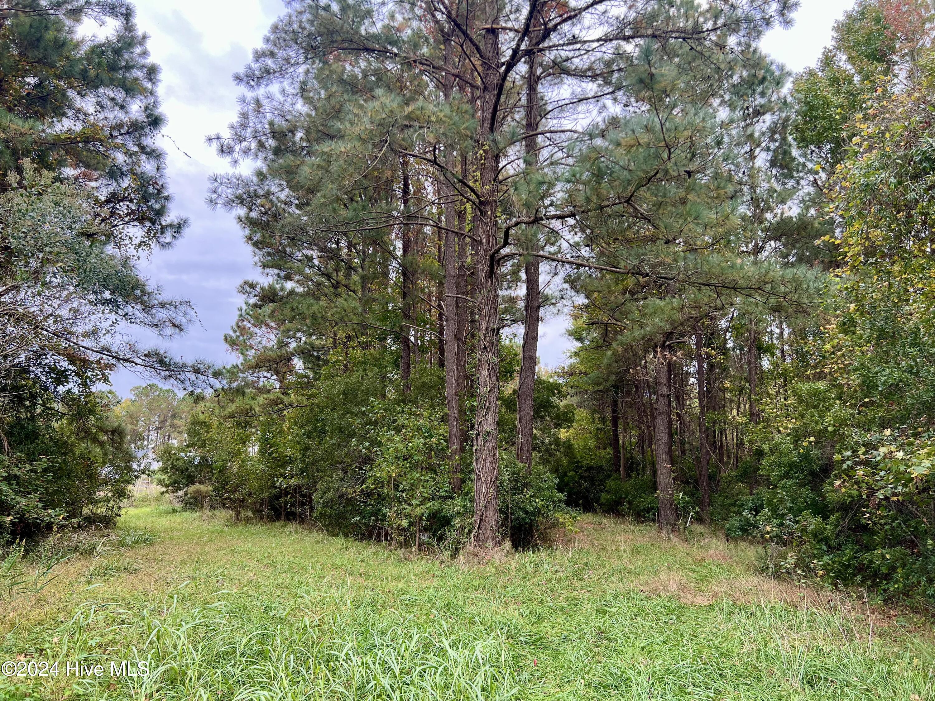 2900 Hickory Point Road Aurora, NC 27806 - Photo 14 of 23 Main