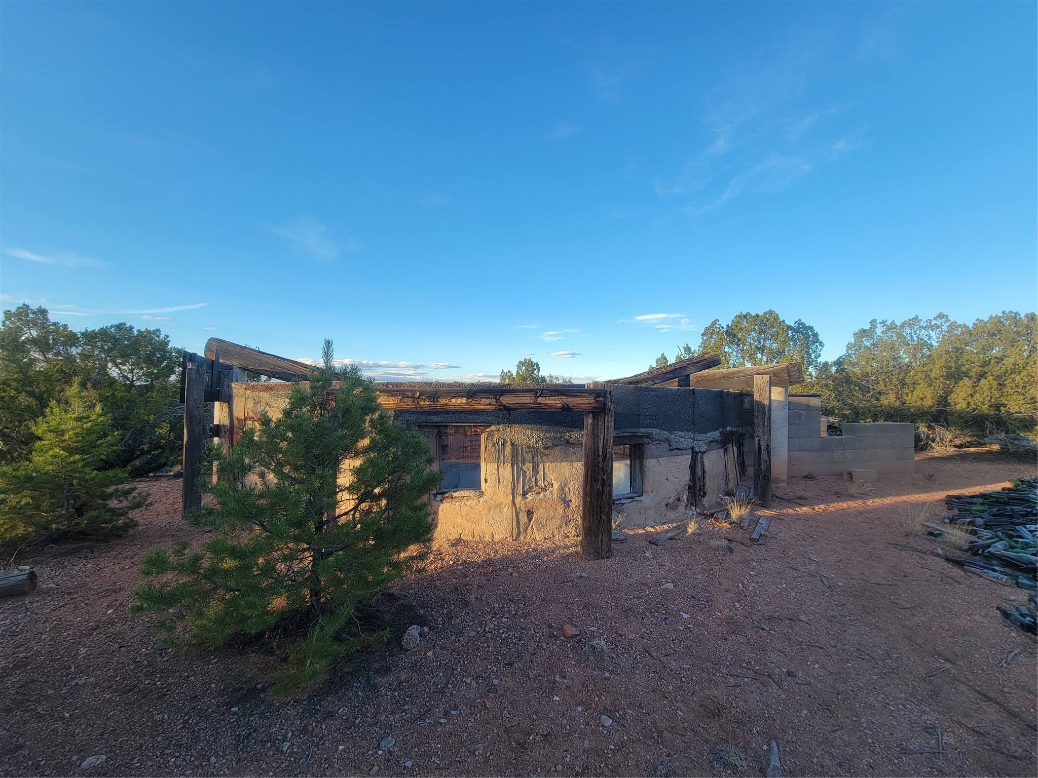218 Horny Toad Road Cerrillos, NM 87010 - Photo 8 of 16