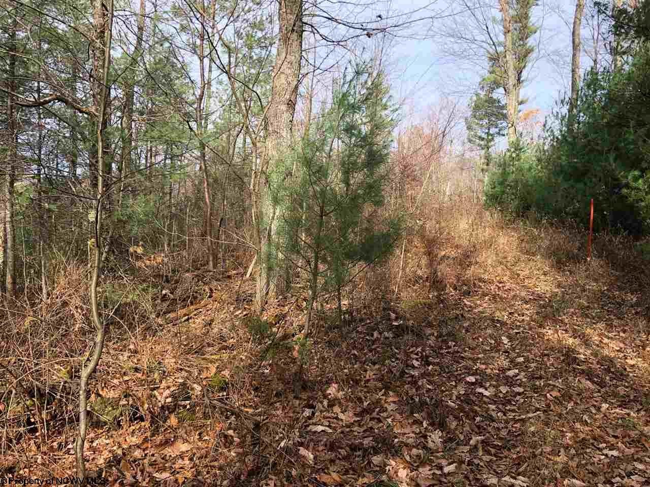 Tbd Gilman Road Elkins, WV 26241 - Photo 16 of 16 Gallery Image 16