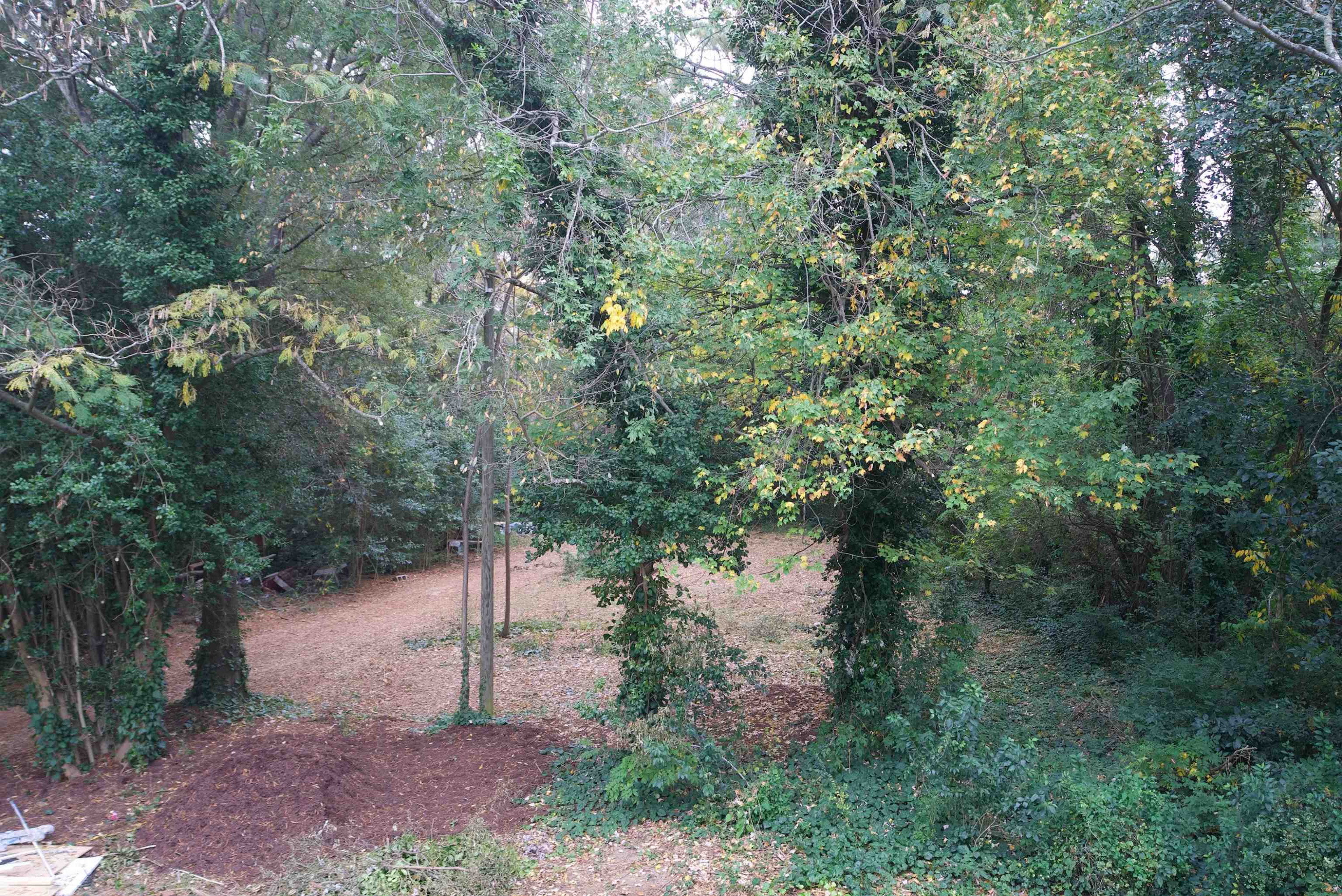 209 Benson Road Garner, NC 27529 - Photo 29 of 39 Photo 30