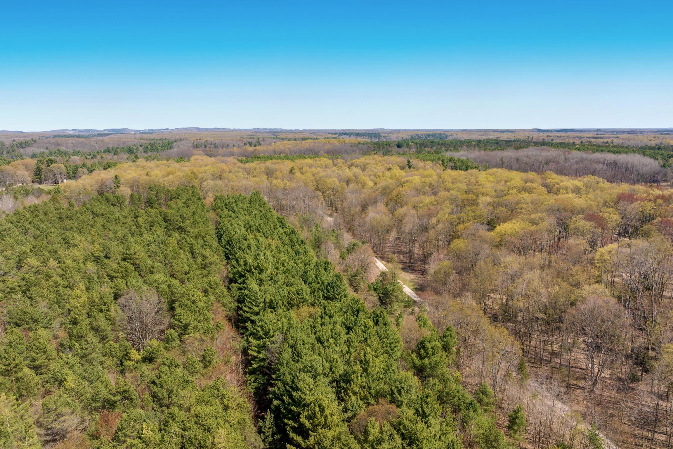 2 Woodland Trail, Unit PARCEL 2 Cedar, MI 49621 - Photo 17 of 19