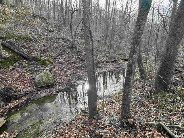 $675,000 | 1300 Shoal Creek Road, Murphysboro, IL 62966