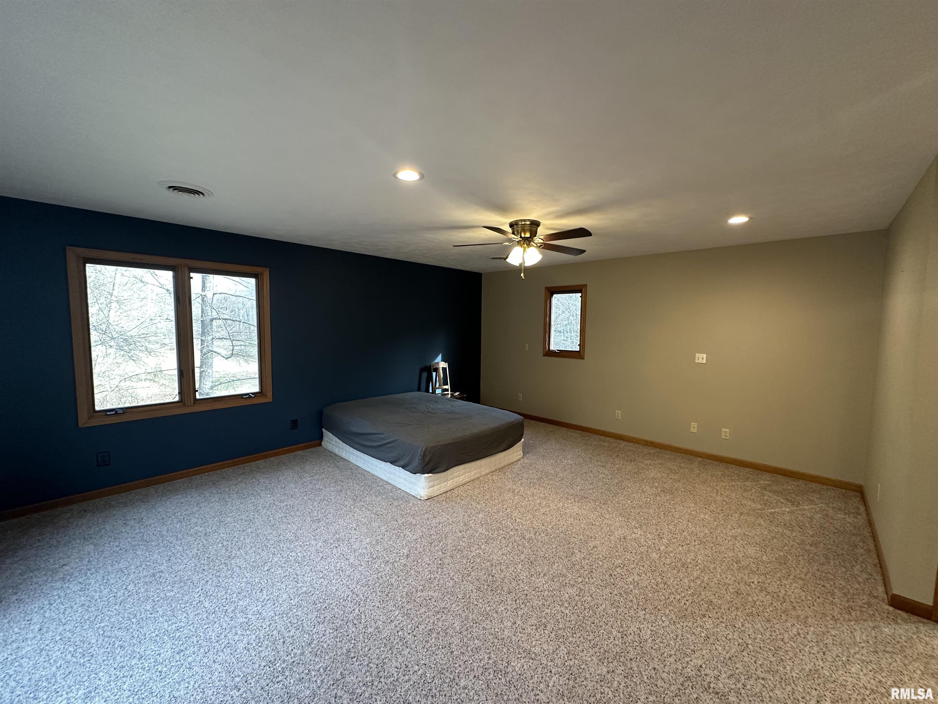 1300 Shoal Creek Road Murphysboro, IL 62966 - Photo 30 of 52