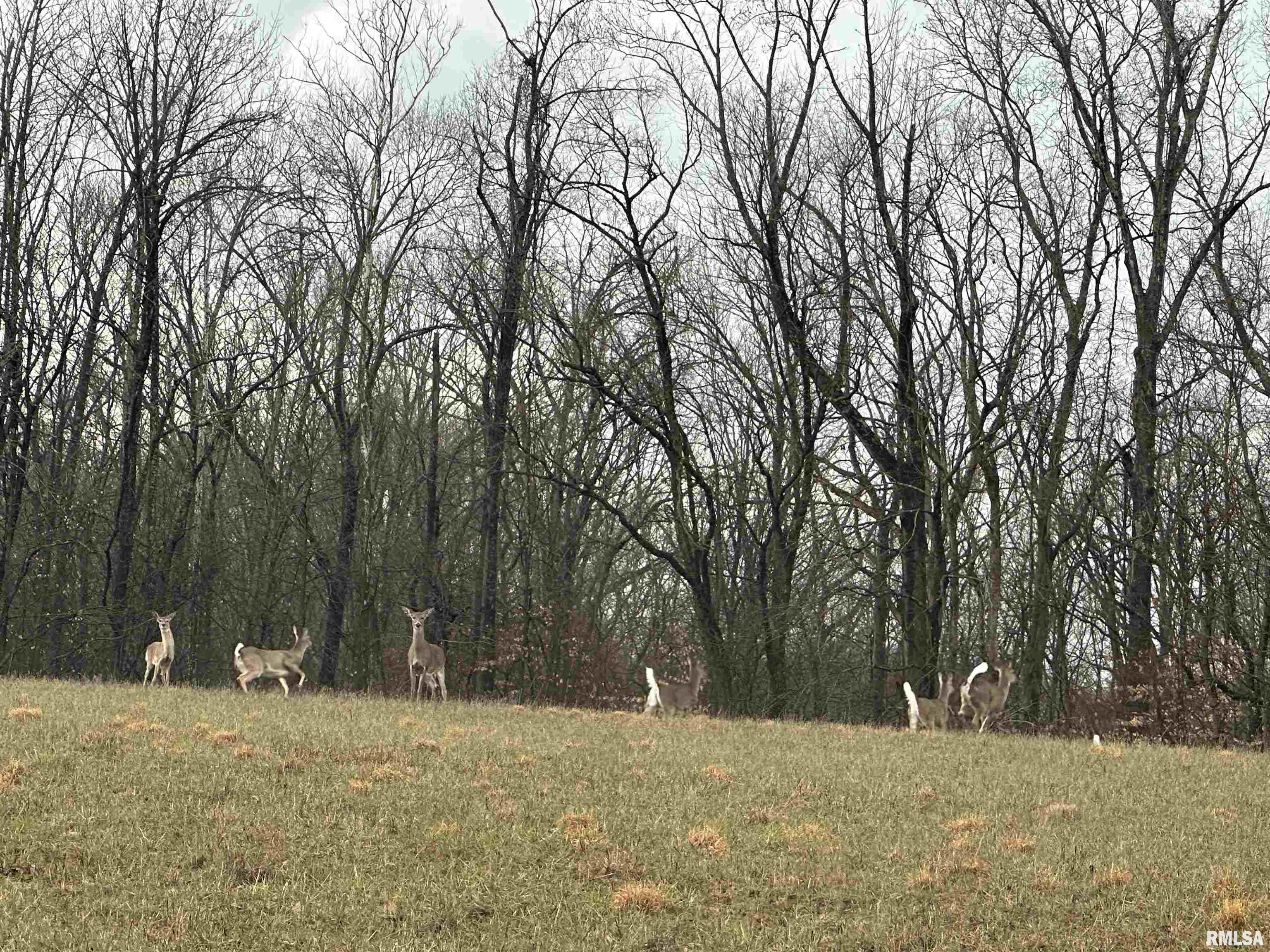 1300 Shoal Creek Road Murphysboro, IL 62966 - Photo 40 of 52