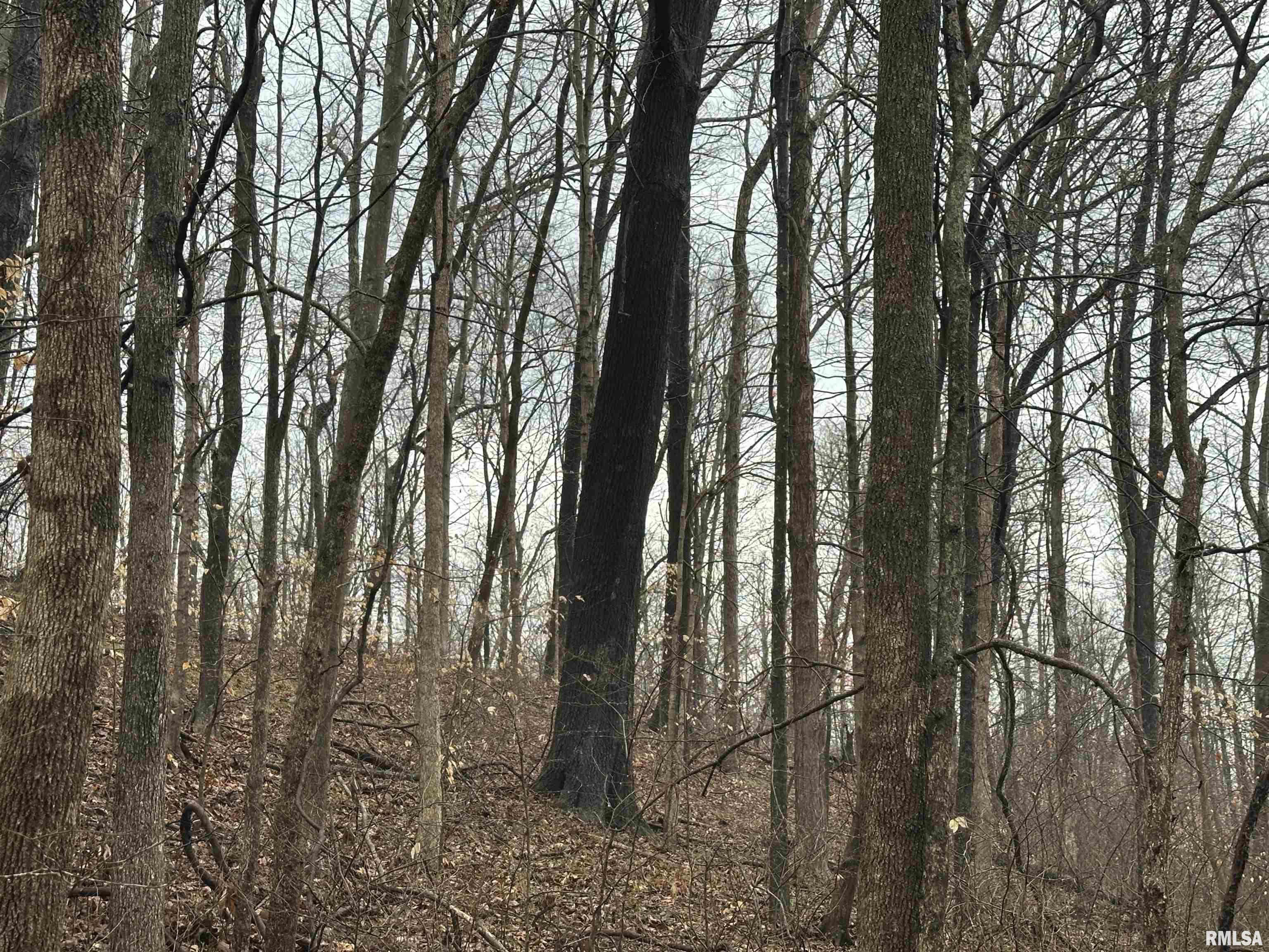 1300 Shoal Creek Road Murphysboro, IL 62966 - Photo 41 of 52